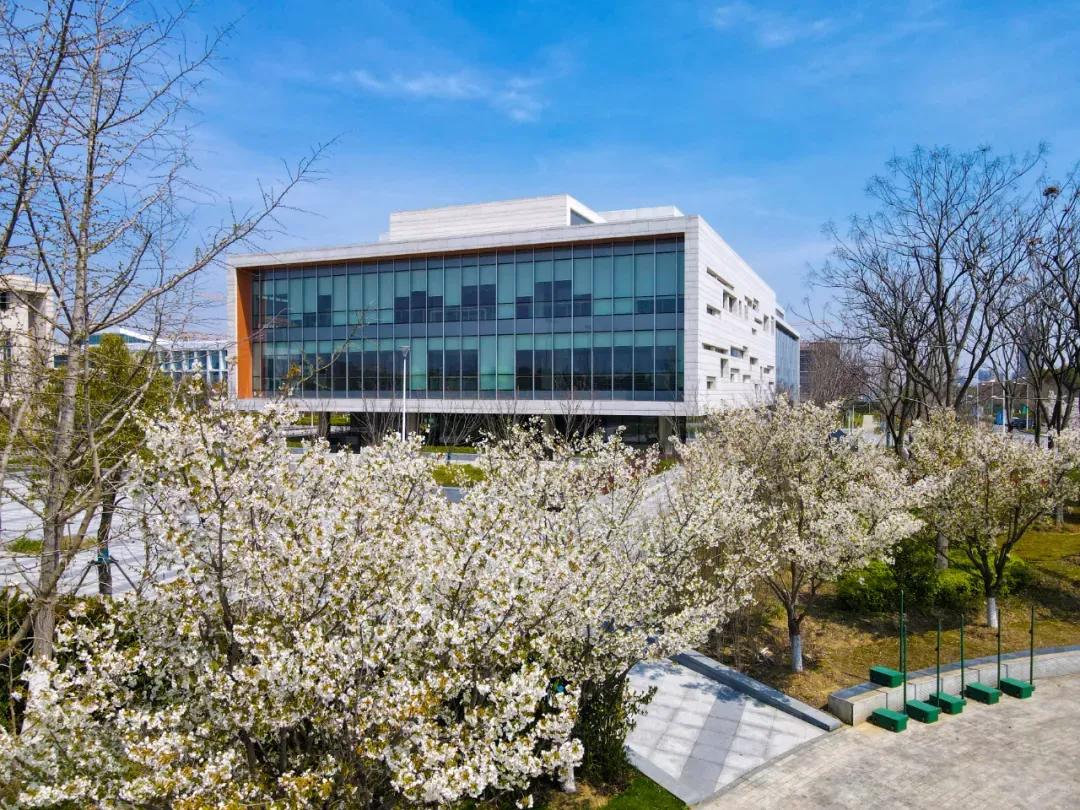 江苏昆山杜克大学图片,昆山杜克大学堪比985