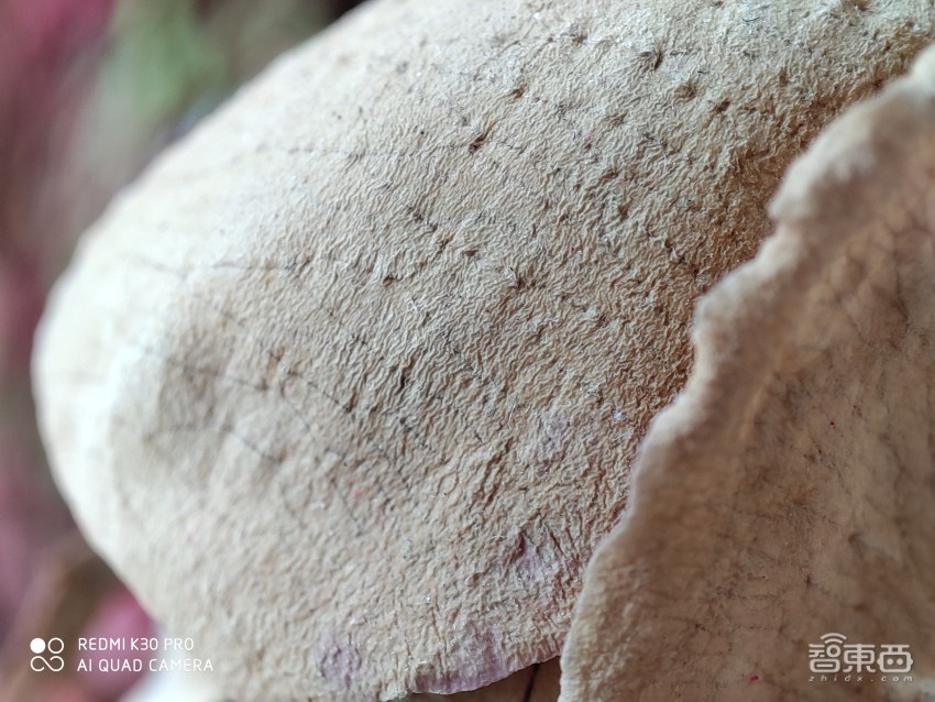 红米k30pro变焦版深度使用感受,红米k30pro变焦版使用感受