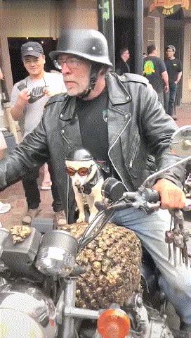 夜晚冲厕所违法,晚上冲厕所违法吗