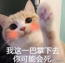 猫咪精力太旺盛还咬人怎么办,猫咪最近脾气暴躁咬人怎么办