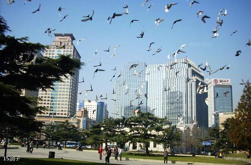 遇见大连完整版,遇见大连3集纪录片完整版