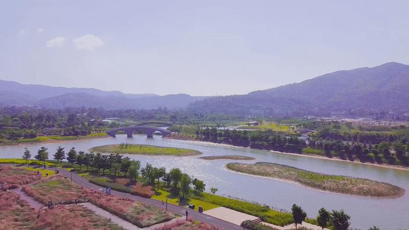 深圳花海公园地址在哪里,深圳中心河公园花海