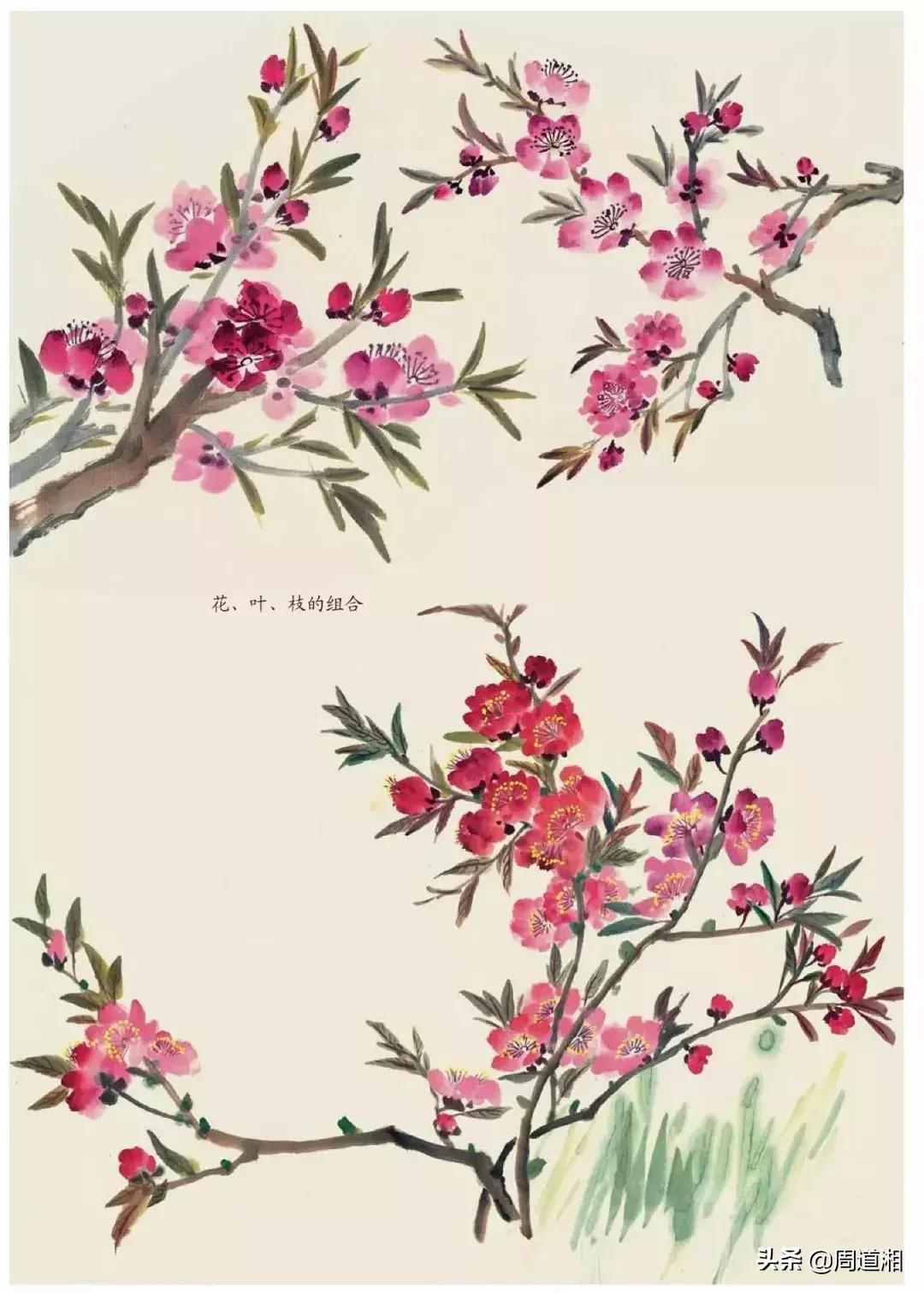 国画花卉大全教程视频,花卉小品国画图片大全