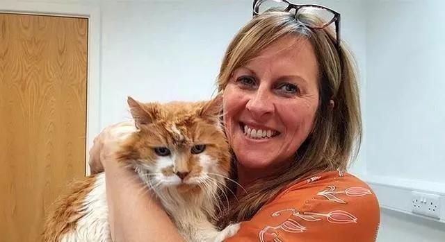 什么品种的猫咪寿命最长,猫咪的寿命最长是什么猫