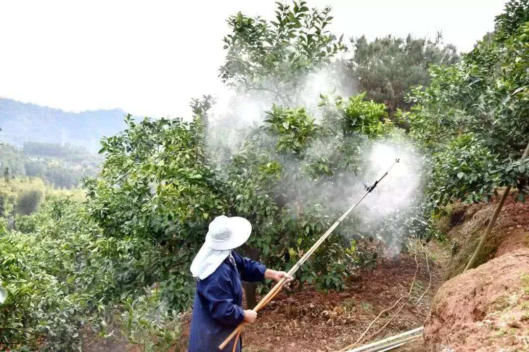 酷似酱油不是酱油，虽然古老但杀虫灭菌都不落后，替都替不了