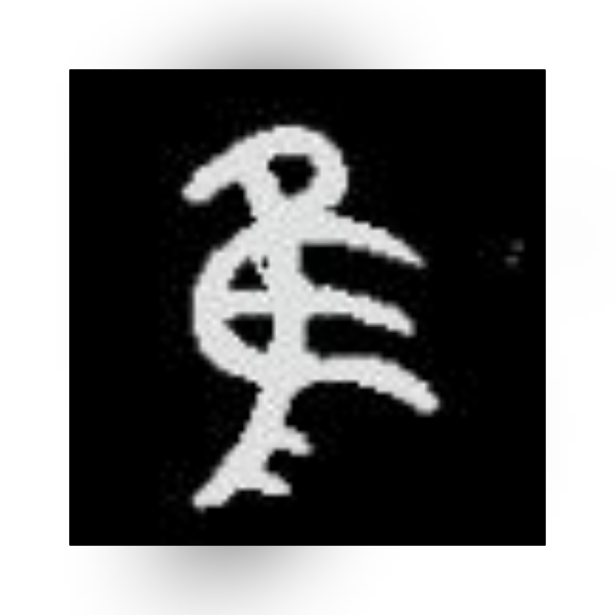 有隹字旁的字,隹字古意