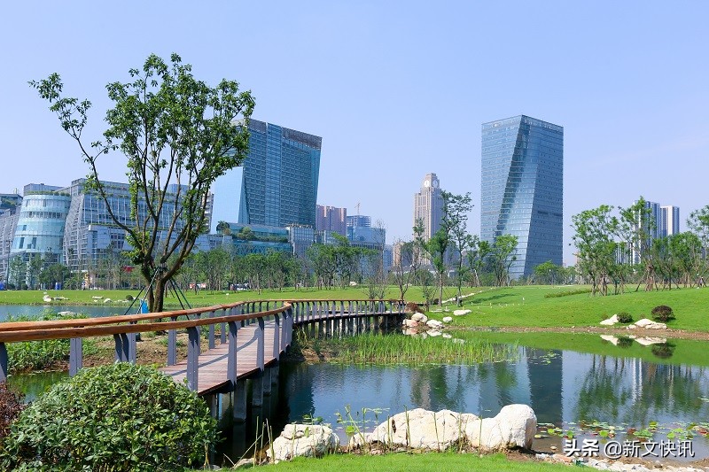 成都世警会开幕式,2019成都世警会开幕式