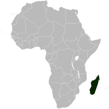 山海经里的神兽谁见过真正的,山海经中的神兽竟然在现实中