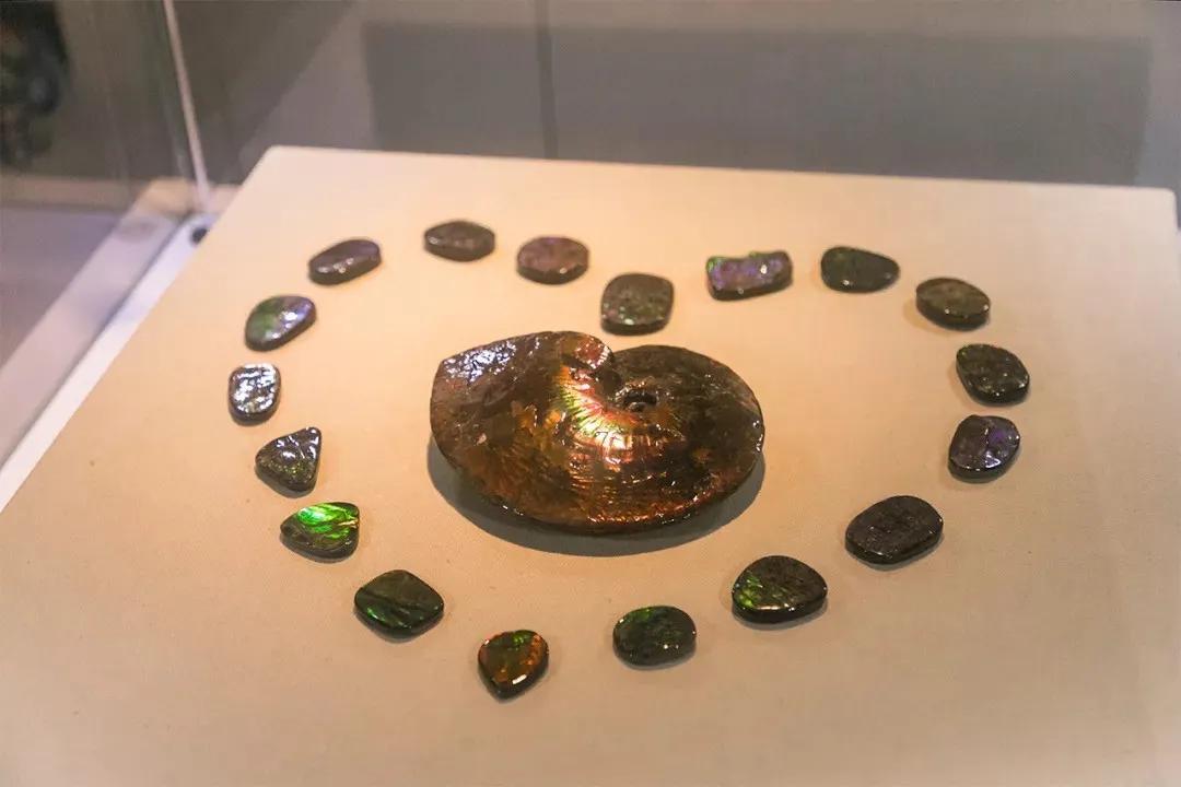 深圳翻身地铁成网红打卡地,深圳网红打卡地点富士康光明小镇