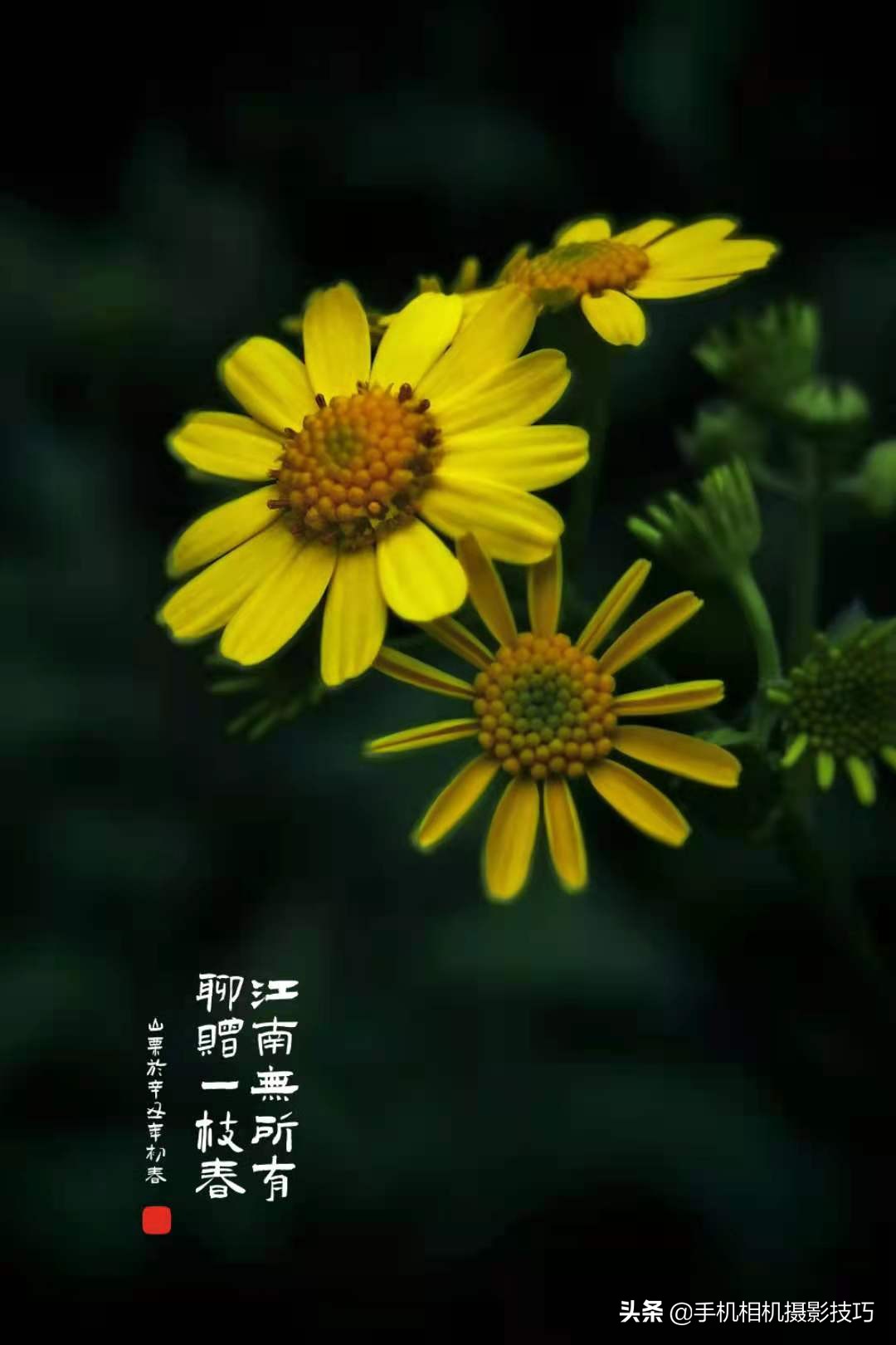 普通人也可以拍出好看的照片,18张普通人拍出来的好照片