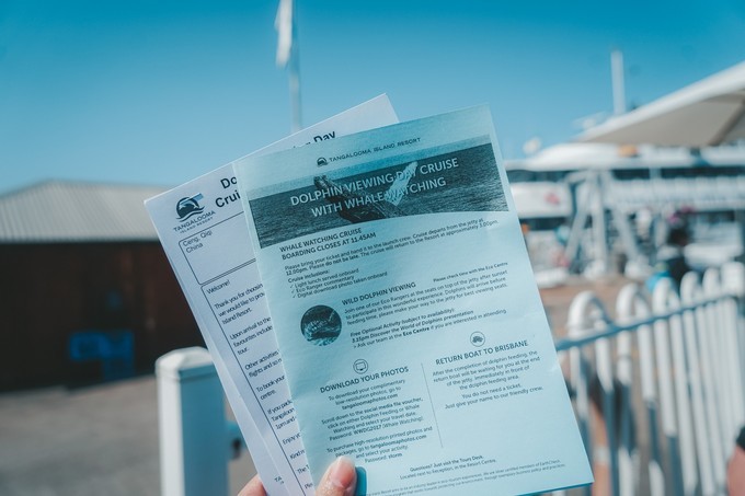 澳洲观鲸攻略,澳洲观鲸之旅