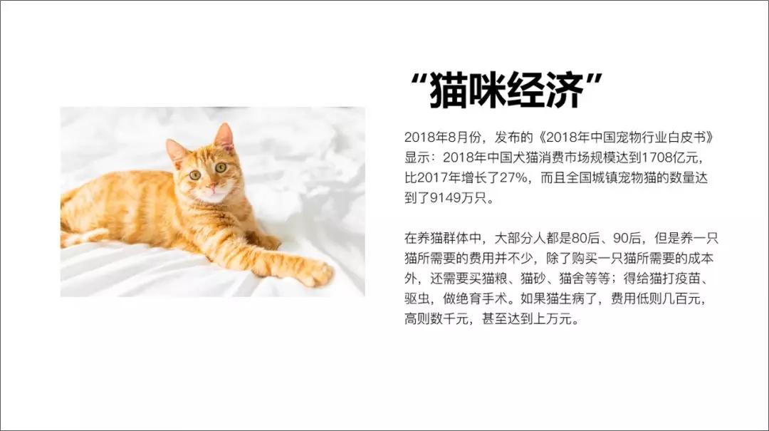 ppt中如何进行图片细节展示,ppt经验分享中适合放的图片