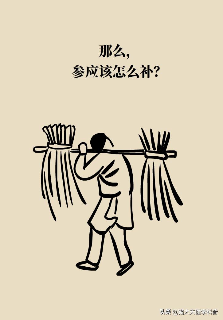 人参西洋参党参红参太子参的区别,人参红参太子参党参西洋参的区别