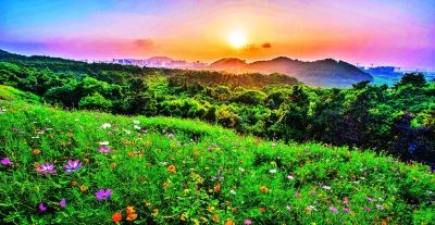 怀念春日的诗句古诗,七首必读的春日诗句