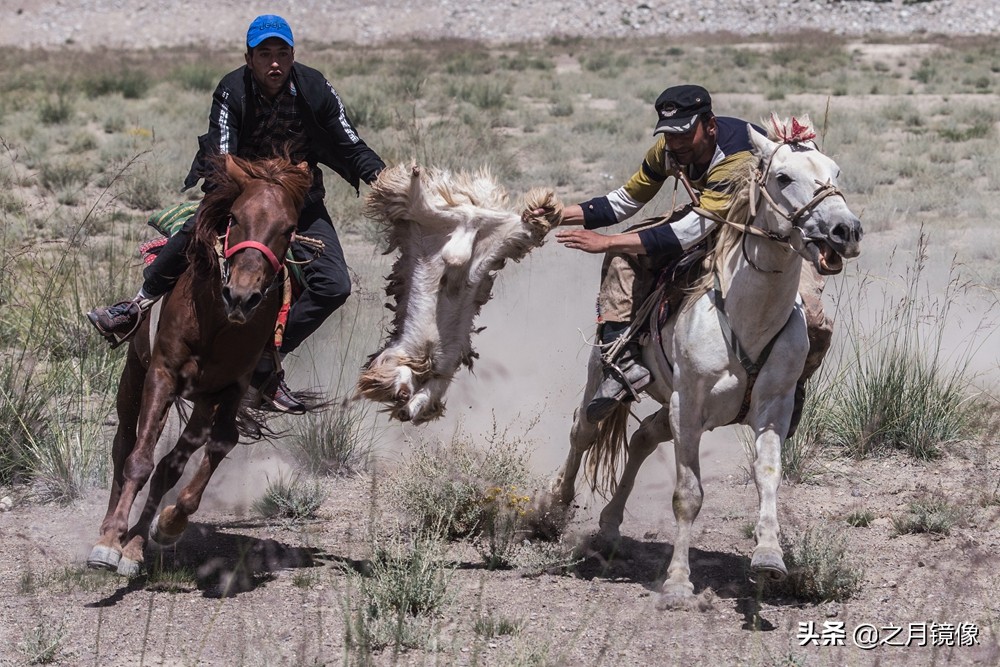 铁血雄鹰全剧,铁血雄鹰全文阅读