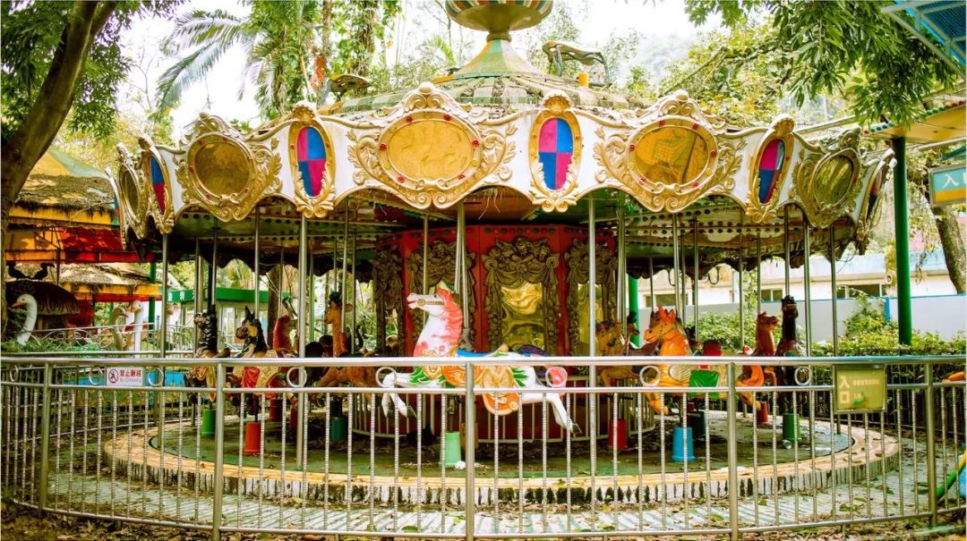 深圳东湖公园游乐场以前样子,深圳藏在森林里游乐园