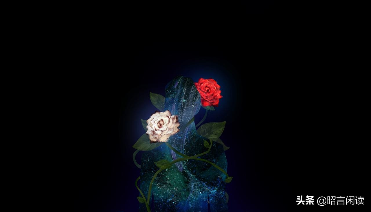 得不到的和被偏爱的都有恃无恐,得不到的永远在骚动被偏爱的人