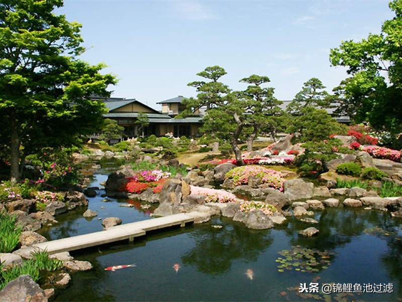 建造观赏性锦鲤池,打造一个锦鲤池要花多少钱