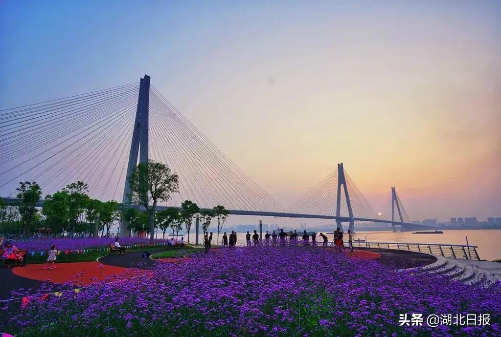 湖北的38座长江大桥,湖北38座长江大桥名单