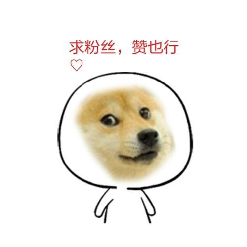 ps找图素材去什么网站,学习ps免费素材教程网站推荐