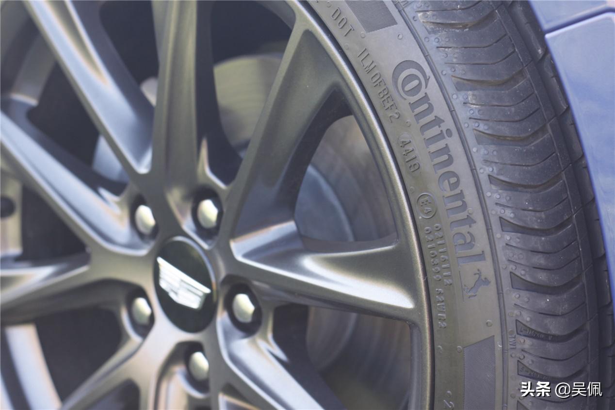 要是没有一颗纯粹的玩心，那还是离她远点吧