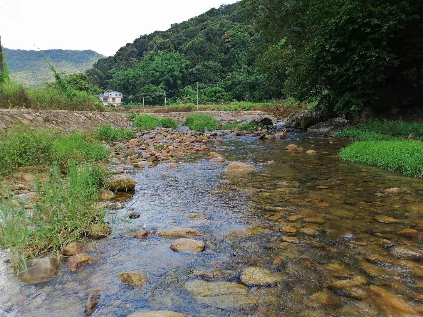 周边旅游景点推荐自驾游罗浮山,罗浮山风景区一日游攻略