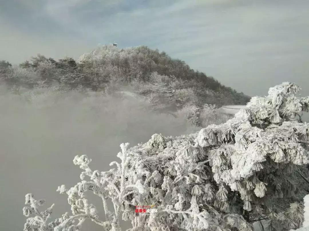 此刻泰山成了雪国，美到无言！高清美图来袭，“雪国的列车”即刻发车！