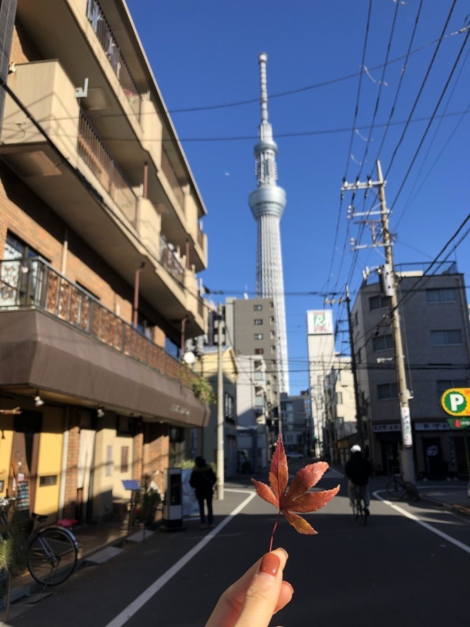 大阪环球影城一天半攻略,东京大阪京旅游攻略