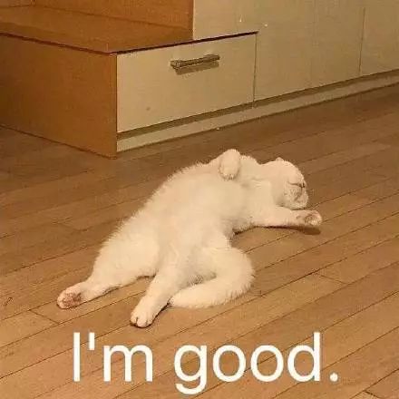 新西兰政府最新规定,新西兰最新禁令