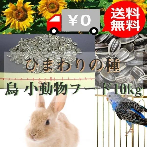 纳尼？为什么日本人不会嗑瓜子？看到中国人单手“吃”惊呆！