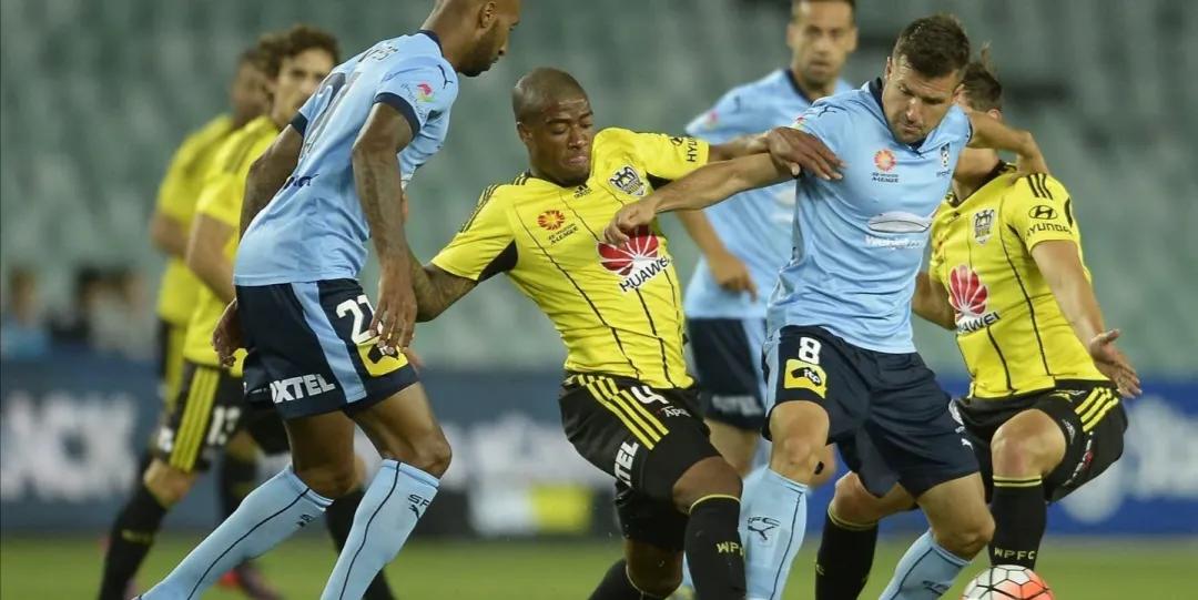 澳超竞彩麦克阿瑟vs西悉尼,澳超麦克阿瑟vs惠灵顿直播