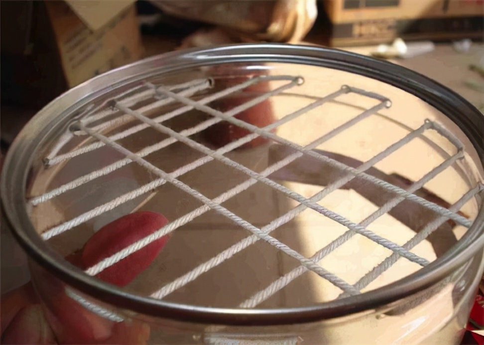 水培吊兰怎么养长得好,水培吊兰怎么养长得好快