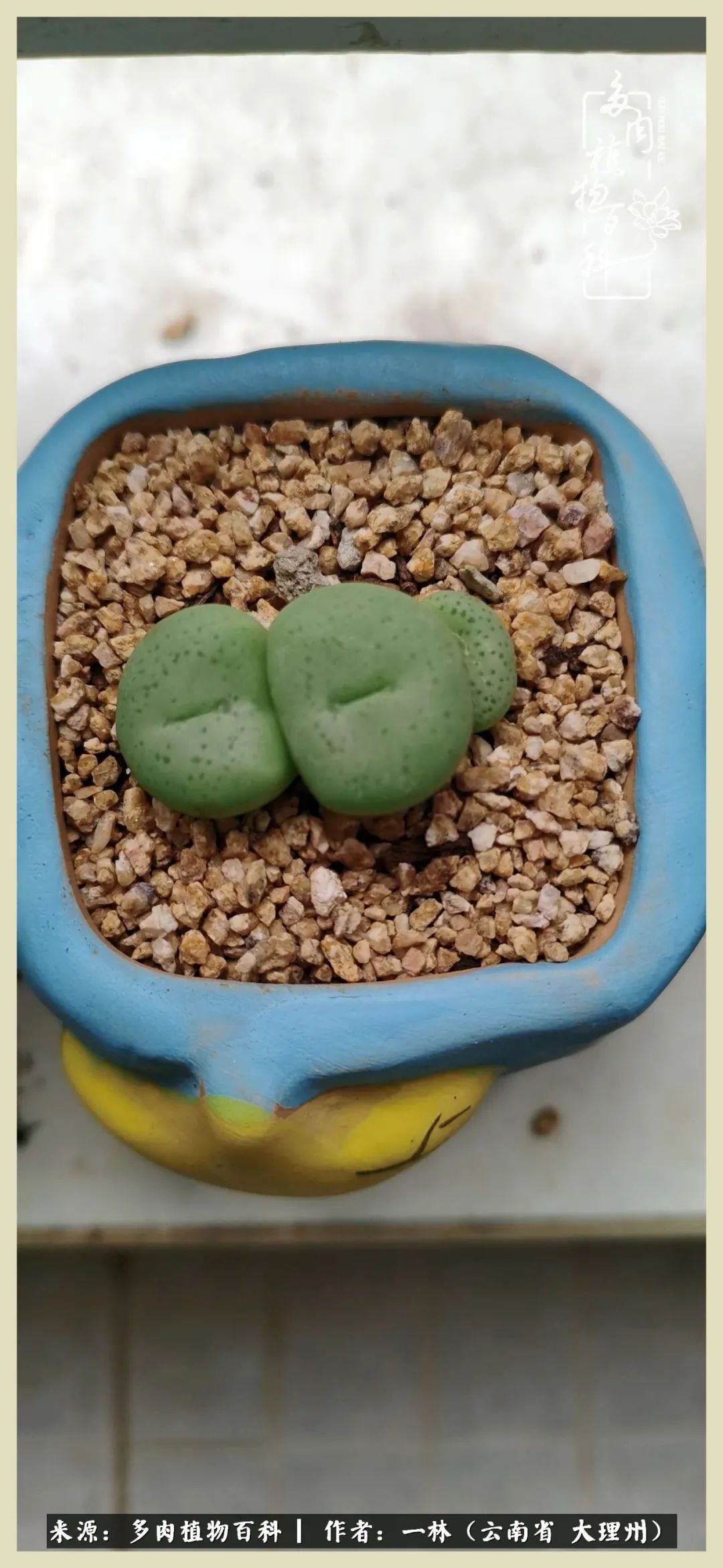 星光不问赶路人文案,时光不负有心人星光不负赶路人