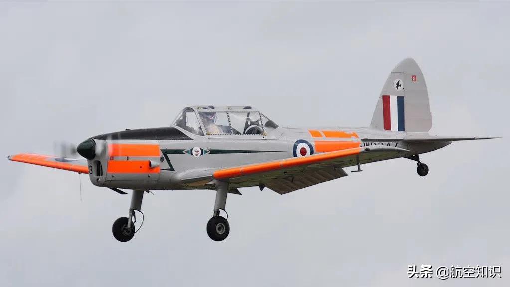 飞机制造商对动物的喜爱到底有多深？——德哈维兰加拿大