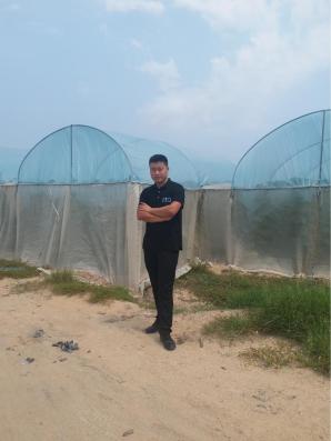 东北小伙在海南种甜瓜,东北小伙在海南种植甜瓜