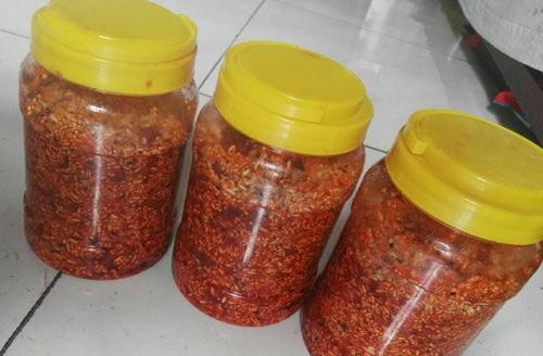 一把窝子就有钓不完的鲫鱼，用起来还真不是说着玩的！