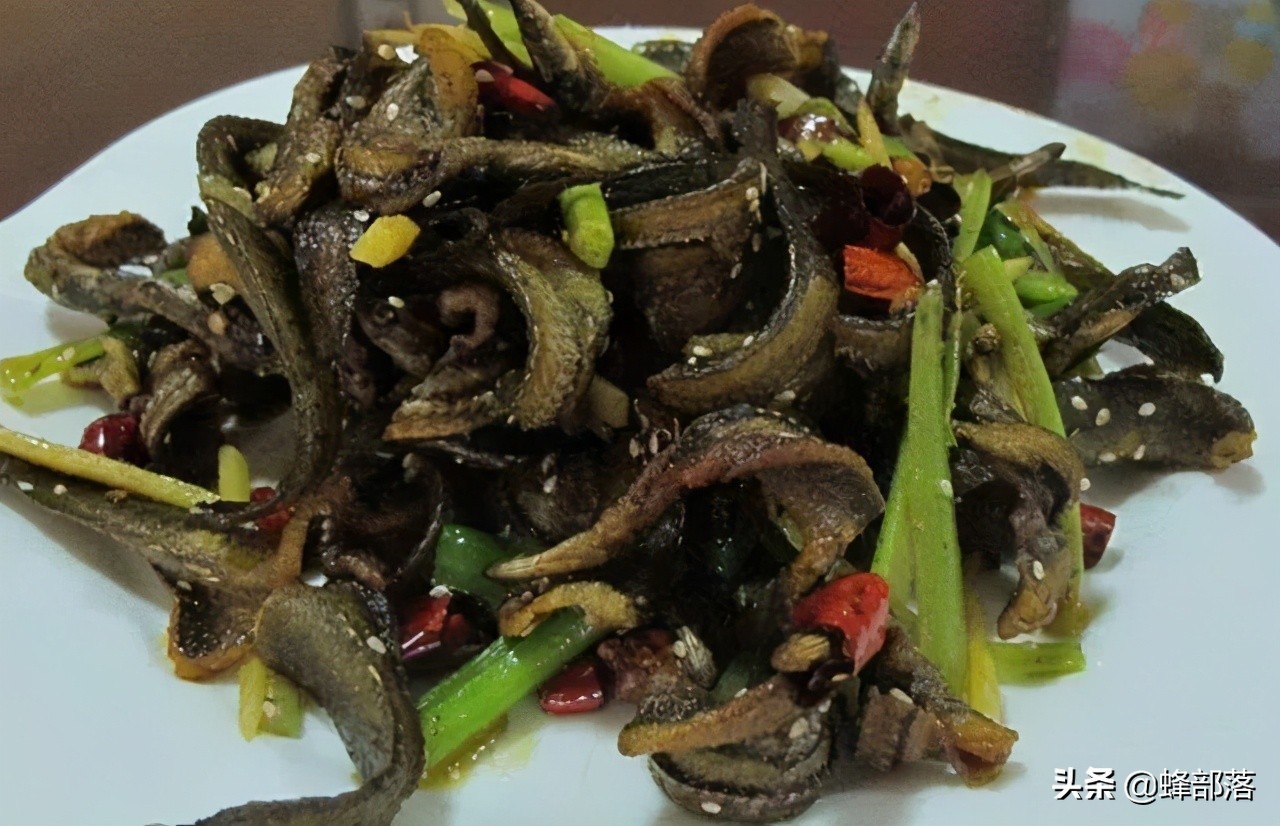 哪里有养殖刀鳅鱼的,刀鳅鱼为什么没人养殖