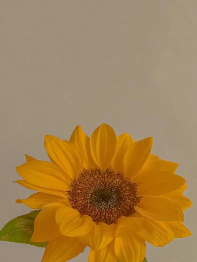 简单的个性签名英语,简单的个性签名成熟稳重