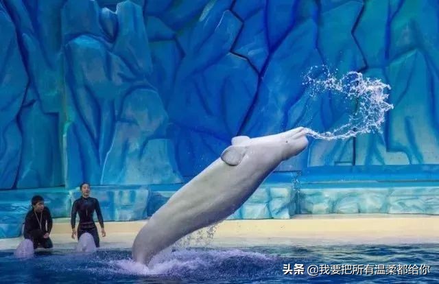 珠海5天旅游攻略大全最新,五一珠海周边最值得去玩的地方