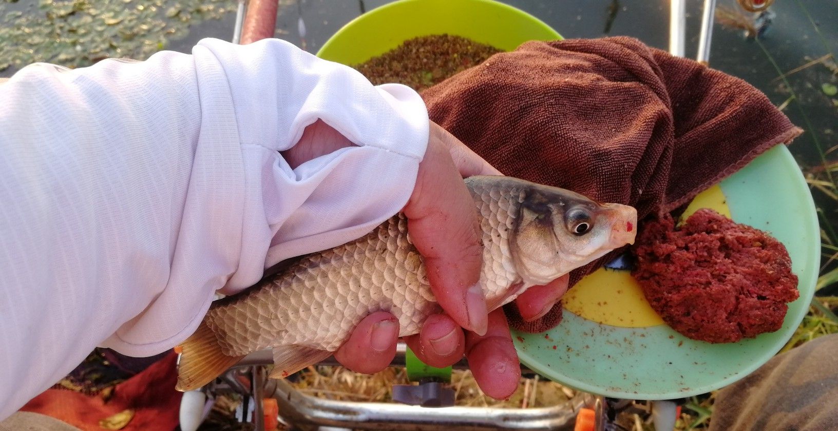 手竿钓鲢鳙钓浮怎么调漂详细过程,鲫鱼钓底还是钓浮怎么调漂