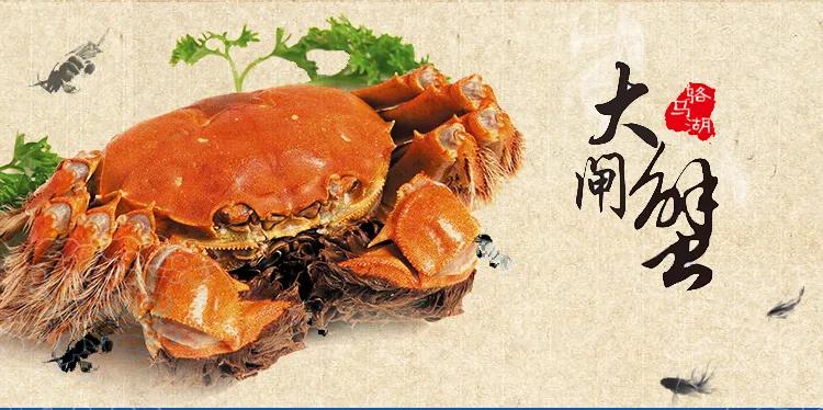 江苏螃蟹出名的地方,江苏十三市螃蟹图片