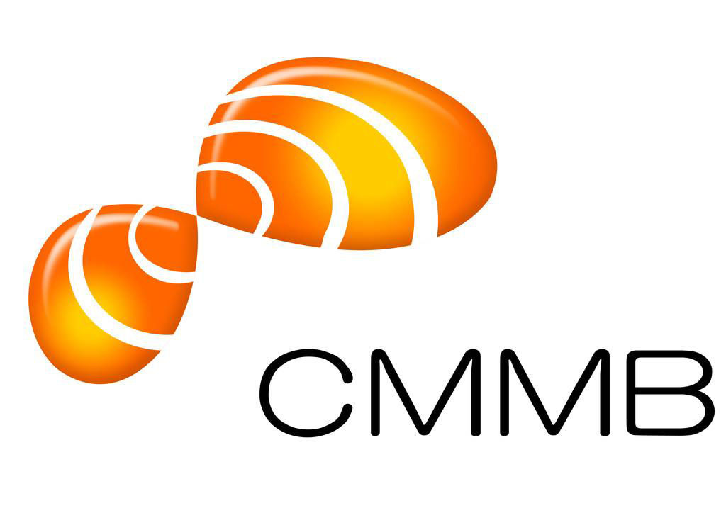 cmmb手持电视现在还有吗,cmmb移动电视现状