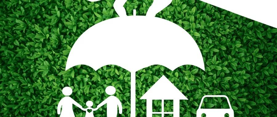 坤鹏论：钱难赚，保险别乱买