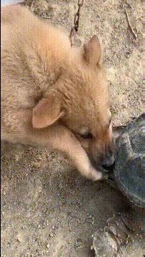 穿恨天高坐地铁的社死现场，两位男士都不忍看这次“崴脚表演”