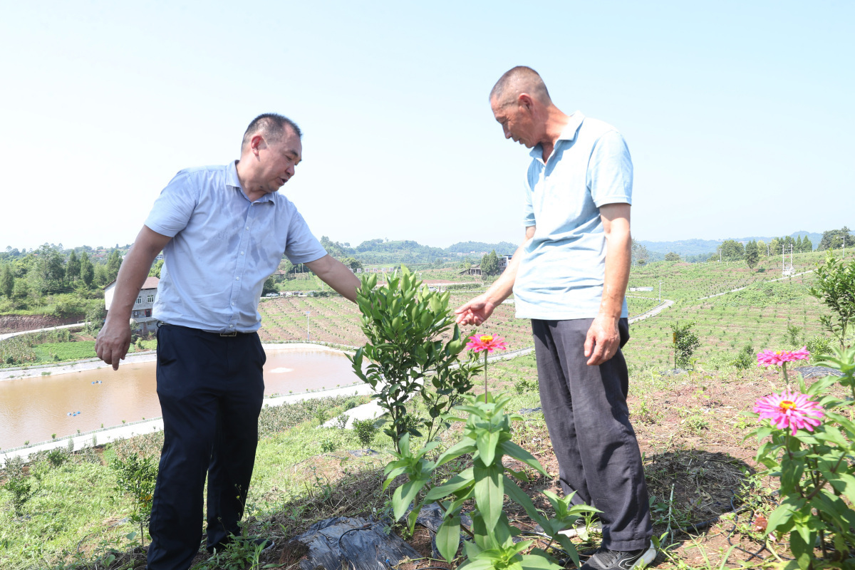 退役军人返乡创业园,广安华蓥市退役军人创业就业基地