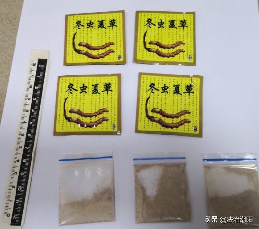 市面上的冬虫夏草多数都是假的,市面上有很多冬虫夏草