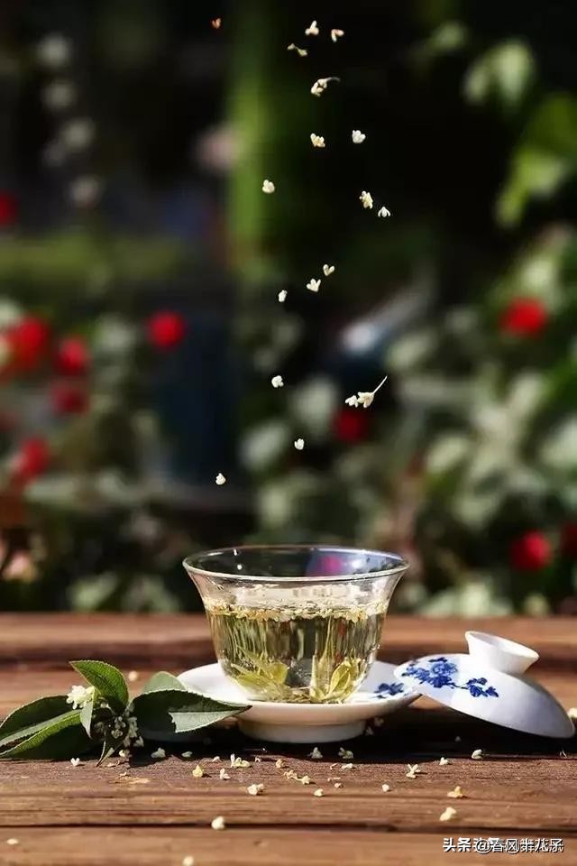 苞米钓青鱼,青鱼吃苞米吗