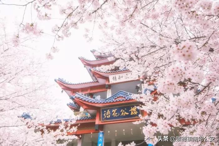 春晓唐诗中写了春天哪些景物,唐诗中关于春天的经典诗句