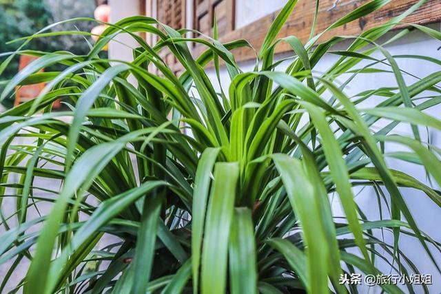 天目湖加南山竹海哪里泡温泉好,天目湖度假秘境享用绝美自然山水