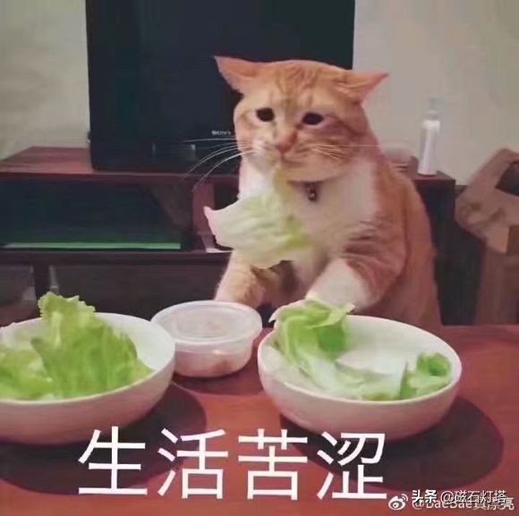 剑网3情缘,剑网情缘3